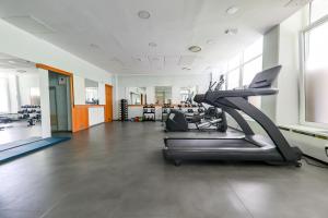 多布尔纳迪潘德恩斯维拉黑吉亚 - 泰尔梅多布尔纳的一座空的健身房,里面装有跑步机和跑步机