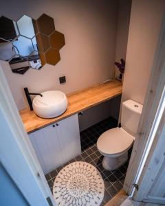 凯尔德拉Cozy apartment in the city center of Kärdla的一间带卫生间和水槽的浴室