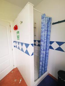 马拉加Casa Luz的浴室设有蓝色和白色瓷砖淋浴。