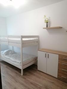 GelenauFerienwohnung August 24的一间卧室设有两张双层床和木制橱柜。