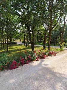 GignacChambre d'hôte La Blénie的一座种满鲜花和树木的公园和一条道路