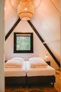 拉纳肯Boshuisje Rekem - Topo的带窗户的客房内的两张床