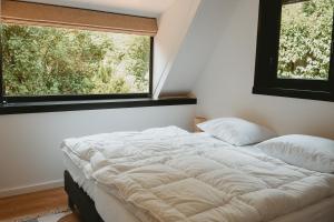 拉纳肯Boshuisje Rekem - Topo的一张位于带大窗户的房间内的床铺