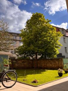 德累斯顿米特公寓式酒店的停在树旁人行道上的自行车