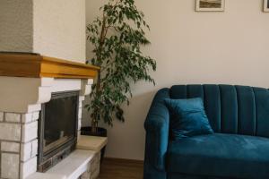 克拉科夫Girls Willa的客厅设有蓝色沙发,配有壁炉