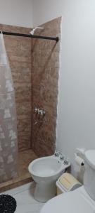 萨尔塔CASA TIPO CHALET SALTA的带淋浴、卫生间和盥洗盆的浴室