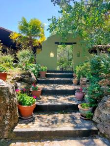 波亚莱斯－德尔奥约Hotel Rural Casa Alfayales-Only Adults的一座带楼梯和盆栽植物的花园