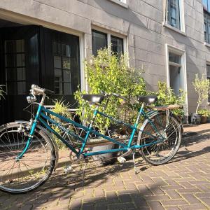 多德雷赫特Villa Conti的停在大楼前的一辆蓝色自行车