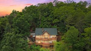 海伦Lily's Lookout Lodge - Helen, GA的树木中房屋的空中景观