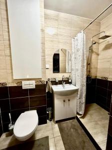吉日茨科Klimatyczne mieszkanie w centrum Giżycka的浴室配有卫生间、盥洗盆和淋浴。