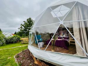 纳文丘夫Glamping Stacja Zieleniec w Nałęczowie的庭院里带桌子的大帐篷