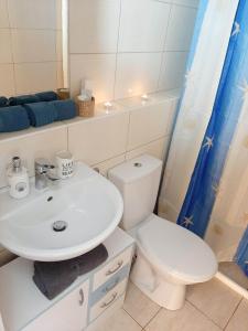 包道乔尼托毛伊HangVilla Badacsony的浴室配有白色水槽和卫生间。