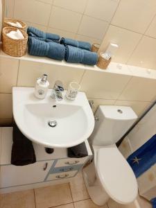 包道乔尼托毛伊HangVilla Badacsony的浴室配有白色水槽和卫生间。