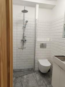 格丁尼亚蓝调客房旅舍的带淋浴和卫生间的白色浴室