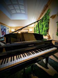 维希HOTEL ARVERNA VICHY - ClT'HOTEL的一只钢琴,一只鸟坐在里面