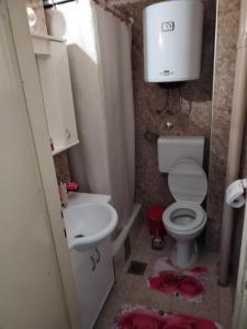 沙巴茨Stan na dan Bozic的一间带卫生间和水槽的小浴室
