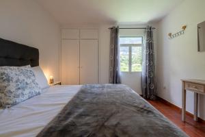 圣维森特Pereira Place - Cottage的一间卧室设有一张大床和一个窗户。