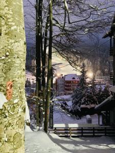 阿祖加Studio Mirage@Snow Residence (ski & forest)的一座雪覆盖的城市,其建筑背景