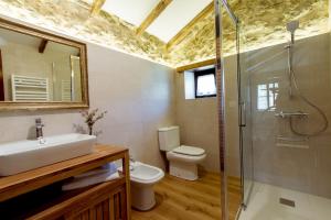 圣维森特-德拉巴尔克拉埃尔莫利诺博纳科乡村民宿的一间带水槽、卫生间和淋浴的浴室