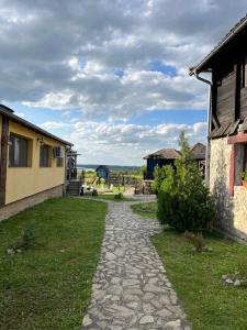 斯雷姆斯基卡尔洛夫奇Etno selo Markovi Konaci的通往房子和院子的石头小径
