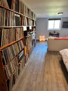 Mid-Century DJs Dream near Rhinebeck的客厅配有装满记录的大书架