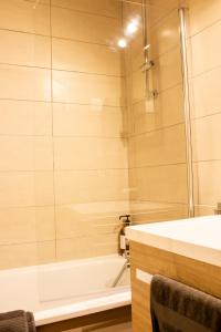 图卢兹Appartement Tolosa的带淋浴、浴缸和盥洗盆的浴室
