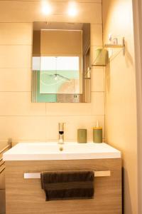 图卢兹Appartement Tolosa的一间带水槽和镜子的浴室
