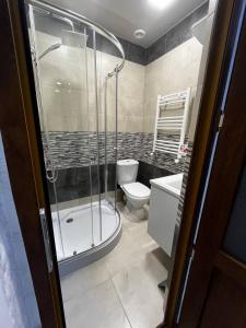 久姆里Central Charm Guesthouse的带淋浴、卫生间和盥洗盆的浴室