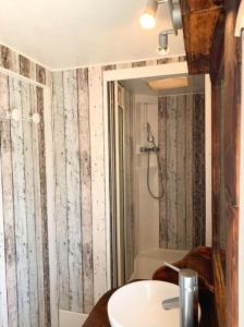 阿尔热祖尔Windy's Guest House - Mobile House的一间带水槽和淋浴的浴室