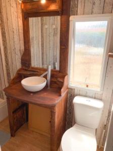 阿尔热祖尔Windy's Guest House - Mobile House的一间带卫生间、水槽和窗户的浴室