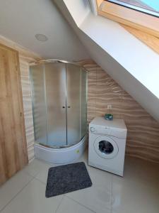 杜加雷萨Apartment Iva的一间带洗衣机和洗衣机的浴室
