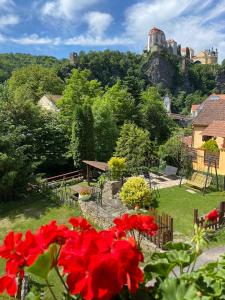 迪耶河畔弗拉诺夫Pension Hamry的一座种有红色花卉的花园,一座山丘上的城堡
