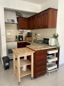 劳林哈Sol & Surf的厨房配有木制橱柜和台面