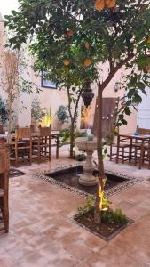 马拉喀什Hostel Laksour的庭院里的树,庭院里长着长椅和喷泉