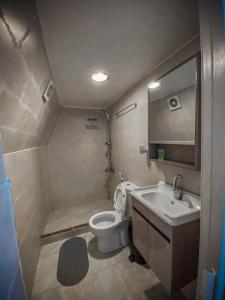 瓦迪拉姆Tower Rum Camb的一间带卫生间和水槽的小浴室