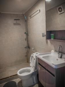 瓦迪拉姆Tower Rum Camb的浴室配有卫生间、盥洗盆和淋浴。