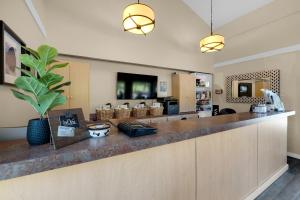 卡农海滩威赛德旅馆的一个带长台面的厨房