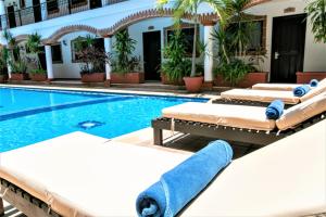 普拉亚卡门Hotel Colonial Playa del Carmen的酒店旁的游泳池设有躺椅
