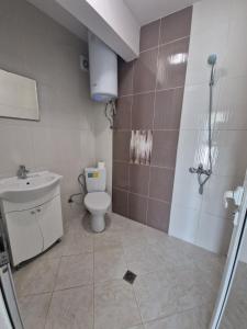 茨雷沃Arapya Apartments的一间带卫生间和水槽的浴室