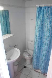 阿利卡纳斯Vaso Alykanas Studios的浴室设有卫生间和蓝色的浴帘。