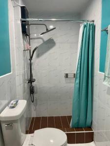科罗尔Ngermid Oasis-Spacious Studio Loft W/ Garden Views的浴室设有卫生间和蓝色的浴帘。