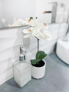圣玛尔塔Comunidad Calle 13 Hotel Boutique的肥皂分配器旁边的花瓶里的一个白花