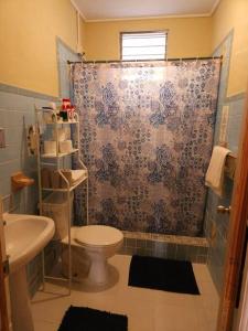 Pointe MichelSunset Breeze的带淋浴、卫生间和盥洗盆的浴室