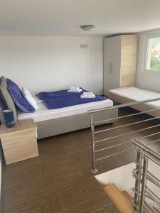 罗戈兹尼察Villa LILI的一间卧室配有一张带蓝色枕头的大床