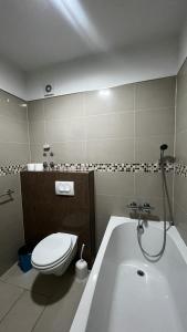 罗戈兹尼察Villa LILI的一间带卫生间和浴缸的浴室