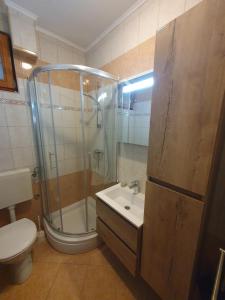 维拉斯奇Apartman Morena的带淋浴、盥洗盆和卫生间的浴室