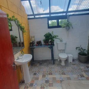 塔洛The Walled Garden Yurt的一间带水槽和卫生间的浴室