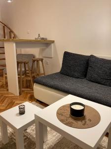 诺维萨德Appartment Passage的客厅配有沙发和桌子