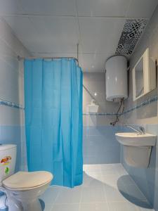 圣弗拉斯Buongiorno! Premium的浴室配有蓝色的浴帘和卫生间