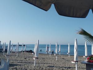 丽都迪奥斯蒂亚Lungomare Toscanelli 206 room fronte mare的海滩上设有白色的遮阳伞和海洋